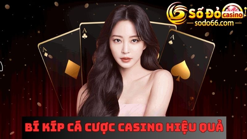 Bí kíp thành công khi vào Casino mỗi ngày