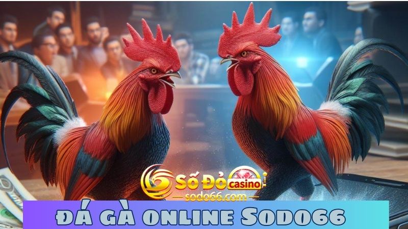 Chơi đá gà Sodo66 đơn giản và được nhiều người yêu thích