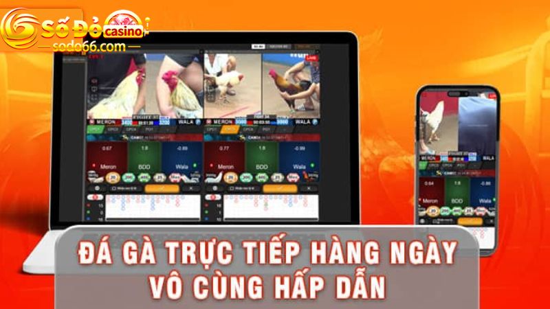 Ưu điểm giúp cho người xem trên app gia tăng nhanh chóng