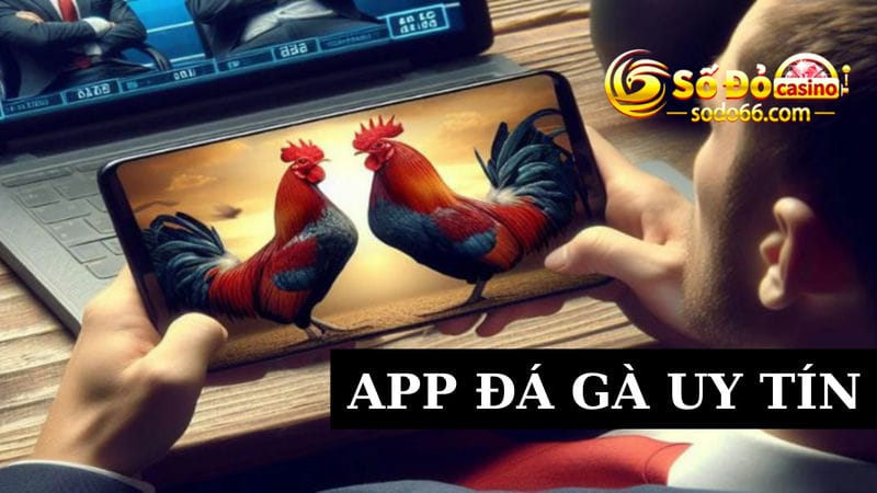 trận đấu đá gà trên app