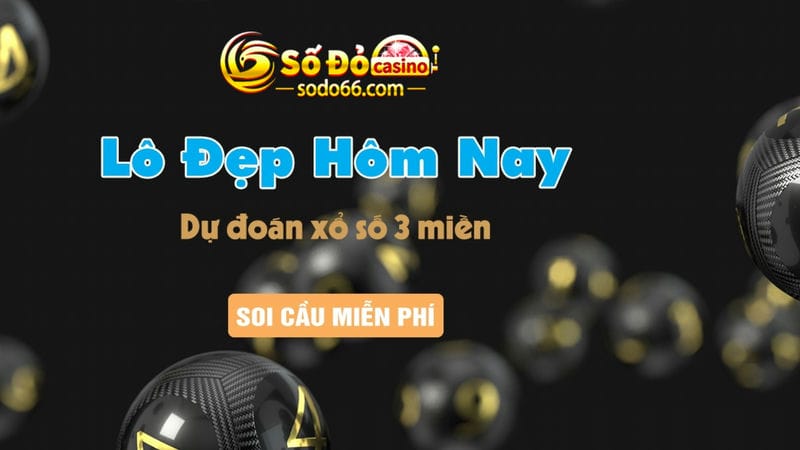 Dự đoán SX3M